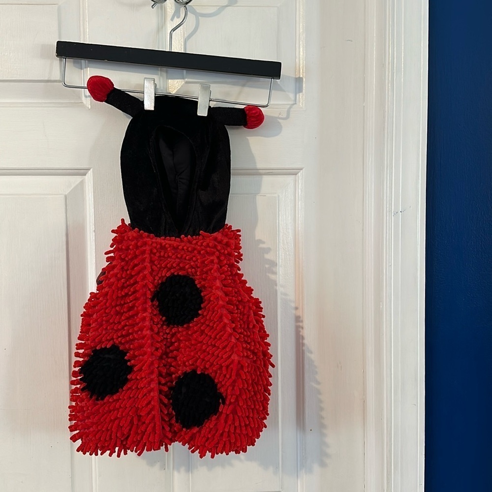 Authentic Kids Baby Ladybug Halloween Costume Size 6 To 9 Mths